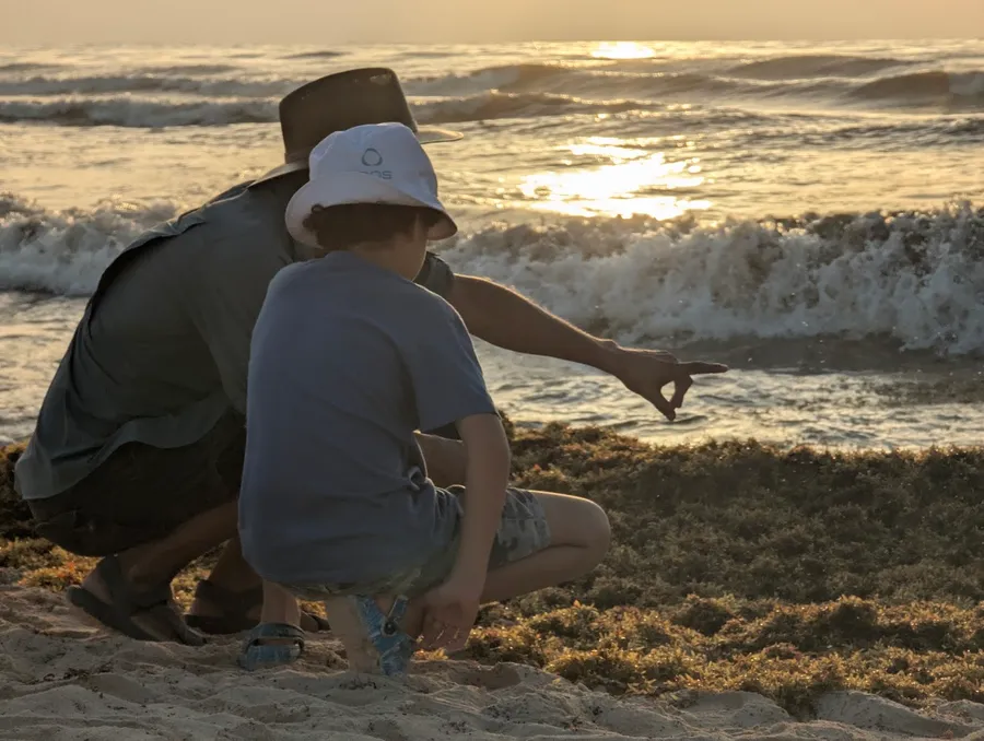 Dos personas de espaldas colectando sargazo en la costa de Tulum al atardecer — imagen de contexto de campo, no un retrato confirmado de un integrante del equipo.